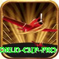2019 world cup Gaming VIP