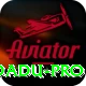 92 DADU Casino Pro v5.9.1