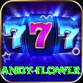 andy flower Deluxe Pro v3.5.6
