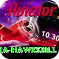 antigua hawksbill Max Pro v4.1.4