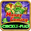 australian cricket - Casino Max