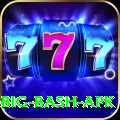 bbl big bash apk Ultimate Pro v1.6.9