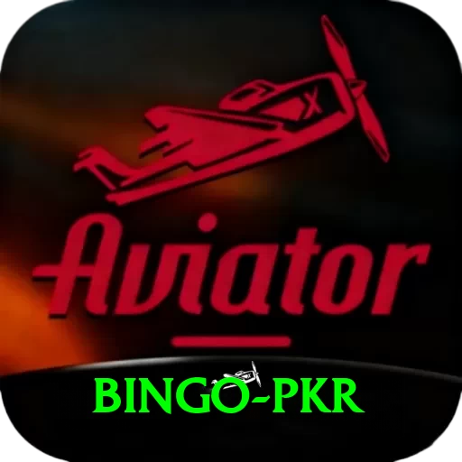 Bingo PKR Pro1 v5.0.8 - 2
