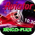bingo Deluxe Edition v5.0.4