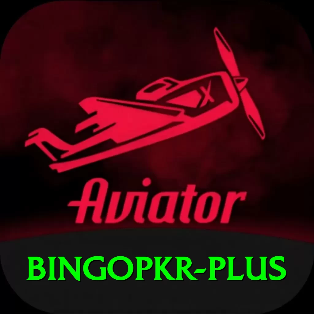 bingopkr Premium v1.3.5 - 2