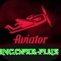 bingopkr Premium v1.3.5