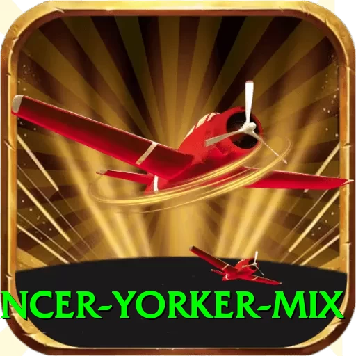 bouncer yorker mix VIP Edition v5.2.1 - 2