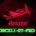 cricket 07 - Real Money Pro