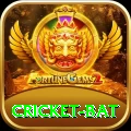 cricket bat Pro1 v2.4.0