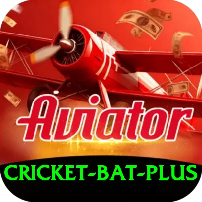 cricket bat Pakistan Deluxe v5.8.3 - 2