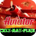 cricket bat Pakistan Deluxe v5.8.3