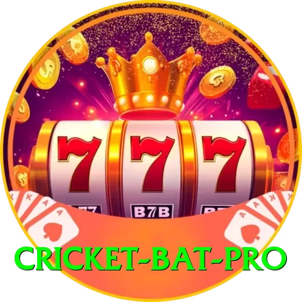 cricket bat - Real Money King - 2