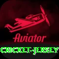 cricket jersey Gold v4.9.6