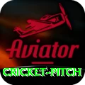 cricket pitch Turbo Pro v2.5.5