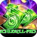 cricket world cup schedule Premium APK v4.5.1