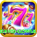 david gower Elite v3.2.6