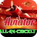 fastest ball in cricket VIP Edition v4.0.5