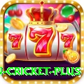 fastest ball in cricket - Deluxe v2.3.1