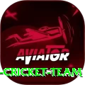 hong kong cricket team Deluxe Pro v3.7.9