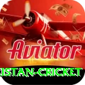 india pakistan cricket Max Pro v1.0.8