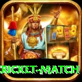 india pakistan cricket match Elite v2.6.0