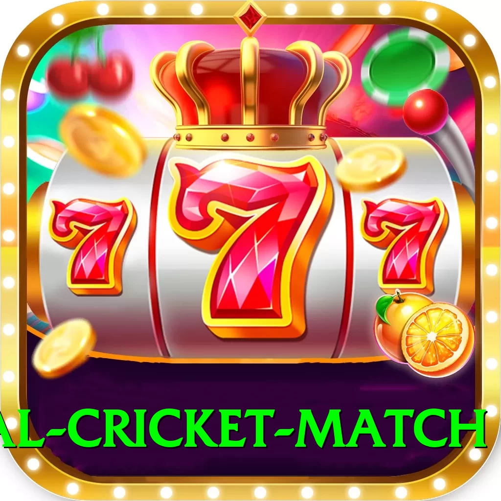 international cricket match Pro Edition v5.8.3 - 2