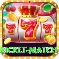 international cricket match Pro Edition v5.8.3