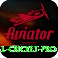 international cricket Prime Casino App