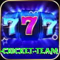 ireland cricket team Premium Edition v3.3.2