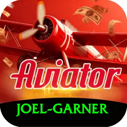 joel garner VIP Pro v5.6.6 - 2