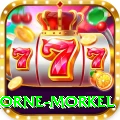 morne morkel Pro v4.9.7