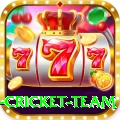 new zealand cricket team Turbo v1.5.6