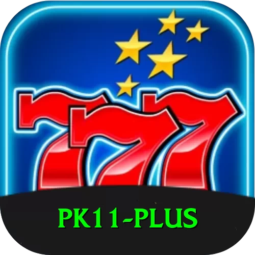 pk11 Pro1 v1.2.9 - 2