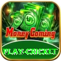 play cricket Ultimate Pro v5.7.1