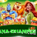pothana dhampus Plus Edition v4.9.9