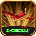 r cricket Elite Pro v1.0.1