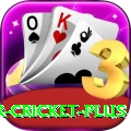 r cricket - VIP Plus