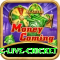 smartcric live cricket Games (Casino & Earning) Master v5.9.0