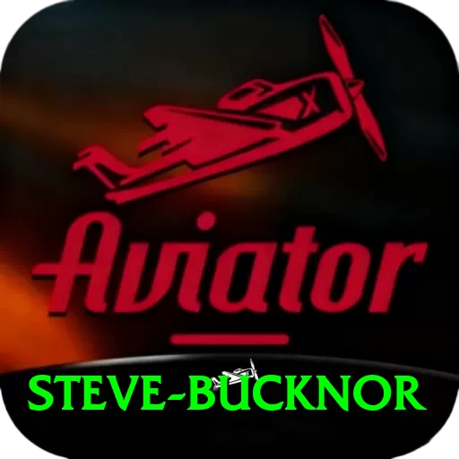 steve bucknor Premium Edition v4.8.5 - 2