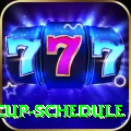 t20 world cup schedule Plus v3.4.3