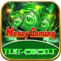 test cricket VIP Edition v1.0.8