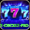 test cricket Pro - Win Real PKR