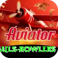 wicket hauls bowlers Deluxe v5.1.9