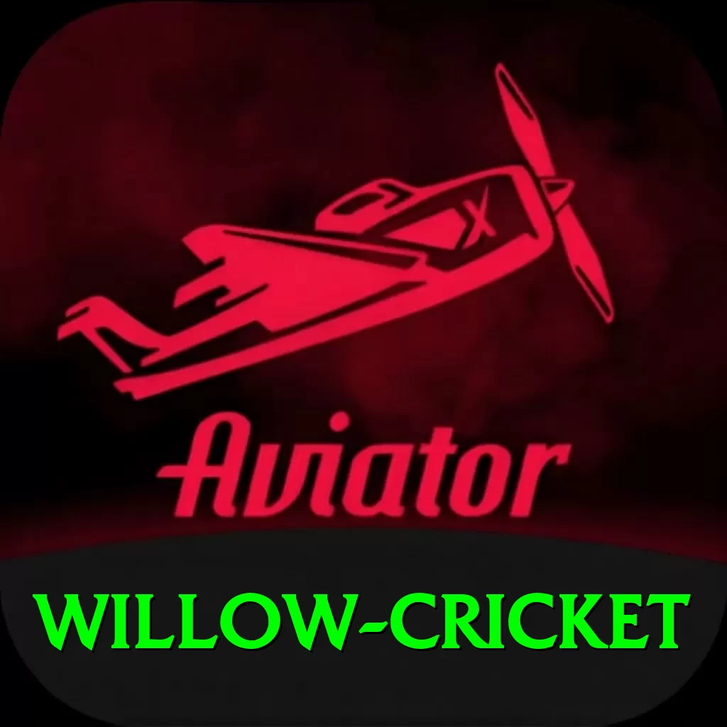 willow cricket Deluxe v5.0.1 - 2