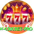 willow cricket Turbo Gaming App