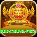 winbaobab Pro 2024